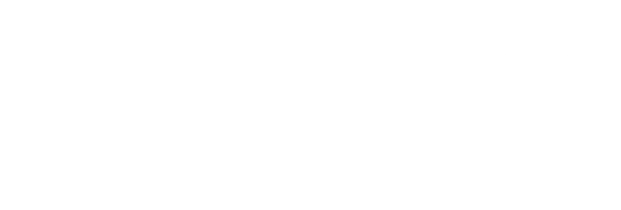 VEION